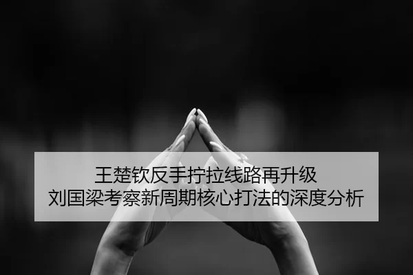 王楚钦反手拧拉线路再升级 刘国梁考察新周期核心打法的深度分析