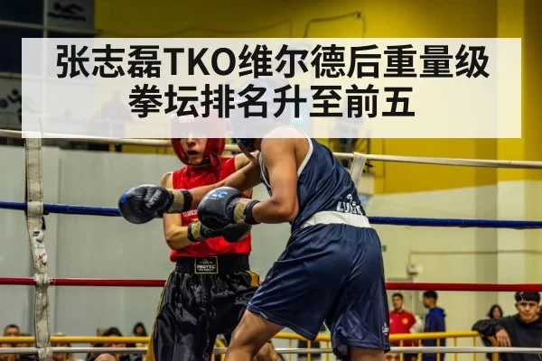 张志磊TKO维尔德后重量级拳坛排名升至前五