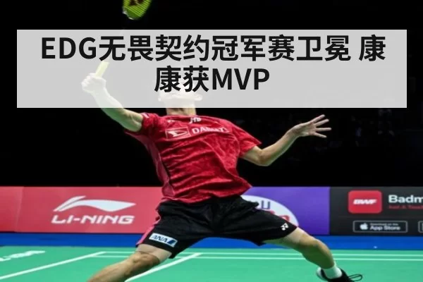 EDG无畏契约冠军赛卫冕 康康获MVP