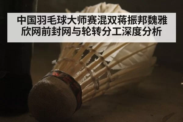中国羽毛球大师赛混双蒋振邦魏雅欣网前封网与轮转分工深度分析